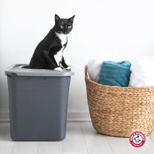 Vista 4 de Arm & Hammer Caja de arena prémium con filtro para limpiar patas y microbios, fabricada en Estados Unidos