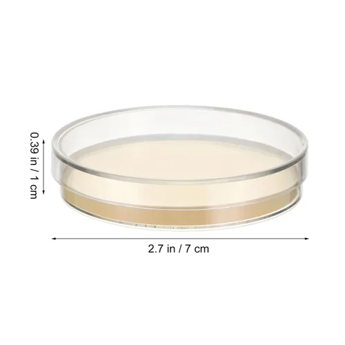 Vista 7 de Mobestech 30 placas de agar previamente vertidas Petri Placas de agar de nutrientes de 2.76 pulgadas para experimentos de laboratorio, micología
