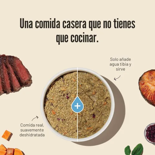 Vista 4 de The Honest Kitchen, comida para perros de grado humano de grano entero deshidratado Wholemade™ - Comida completa y equilibrada o cobertura - Pollo