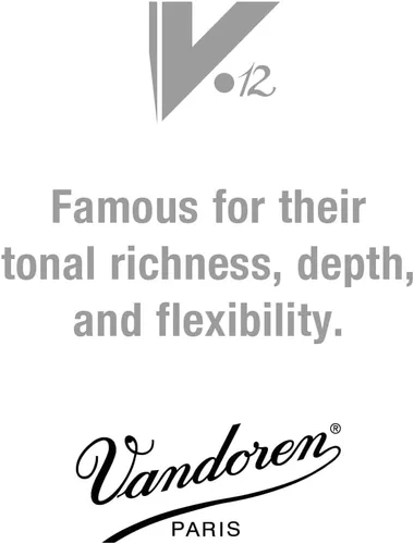 Vista 3 de Vandoren CR1925 cañas para clarinete