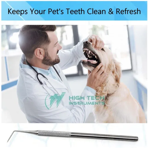 Vista 6 de Dental Probe Explorer #6 hecho de acero inoxidable reutilizable placa de herramientas y removedor de sarro, extremo de precisión adecuado para uso