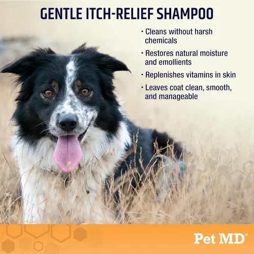 Vista 2 de Pet MD - Champú de avena para perros y gatos para aliviar la picazón y humectante para piel seca y pelaje - 16 oz