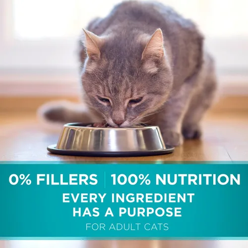 Vista 10 de Purina ONE Alimento seco natural para gatos mezcla tierna con pollo real bolsa de 16 libras