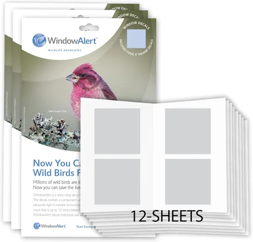 Vista 10 de WindowAlert - Calcomanías anticolisión para pájaros – Calcomanía transparente para ventana para proteger a las aves silvestres de colisiones contra