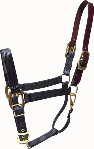 Vista 13 de Hamilton Cabestro ajustable de nailon de 1 pulgada con cabeza de cuero y broche de garganta, grande, negro