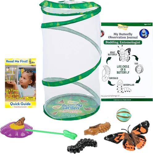 Set de mariposa gigante de Insect Lore: hábitat de lujo de 18 pulgadas, vale para 5 orugas, set de juego de mariposa