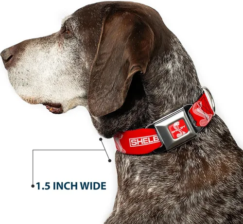 Vista 7 de Buckle-Down Collar de perro hebilla de cinturón de seguridad Shelby Box Logo y Super Snake Cobra Rojo Blanco 15 a 24 pulgadas 1.0 pulgadas de ancho