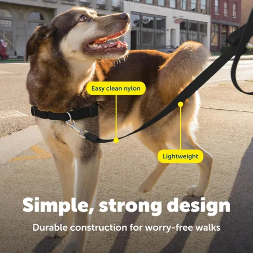 Vista 4 de PetSafe - Correa de nailon para mascotas - Correa resistente a la masticación para entrenamiento de comportamiento de gatos y perros - Compatible