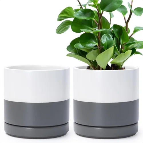 Vista 39 de D'vine Dev - Juego de 2 macetas de plantas de 3.5 pulgadas, maceta de cerámica para plantas con agujero de drenaje y platillo, negra, 94-V-A-2
