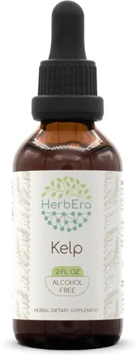 Kelp B60 - Tintura de extracto de hierbas sin alcohol, gotas líquidas concentradas de algas naturales (Ascophyllum nodosum) (2 fl oz)