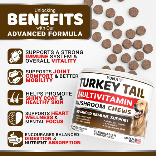 Vista 2 de Extracto de seta de cola de pavo para perros - 170 unidades - Gomitas de hongo para perros con lipomas, bultos y protuberancias - Salud inmune