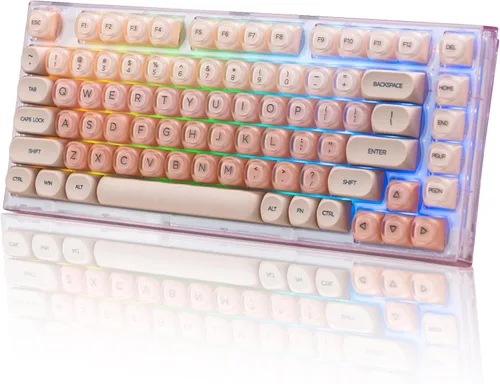 Womier X75 75% Wireless Mechanical Keyboard, Hot Swappable Computer Creamy Keyboard, Foundation Jelly Keycaps, Pre-lubed Switches Gasket Mount RGB
