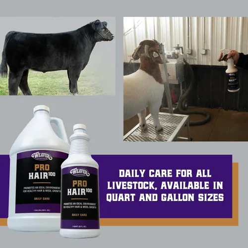 Vista 5 de Weaver Champú de cuero para ganado marca Pro Hair100