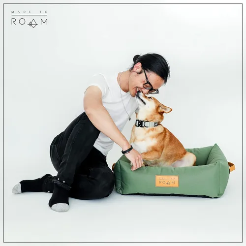 Vista 7 de Made to ROAM - Collar para perro, collar de alta calidad, ajustable, de nailon resistente con hebilla metálica de liberación rápida