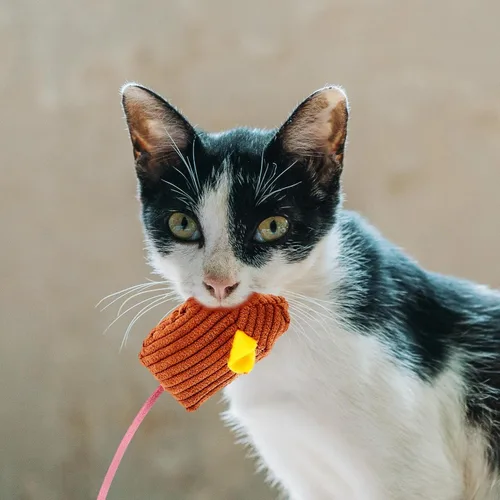 Vista 8 de 6pcs Plush Striped Cat Mouse with Catnip Soft Lightweight Interactive Chew for Indoor Cats and Kittens Wear-Resistant Material for Active Play and