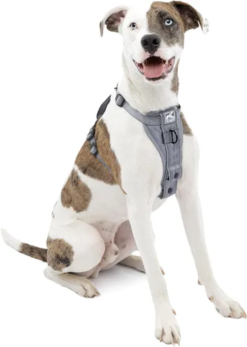 Vista 20 de Kurgo Tru-Fit - Arnés inteligente para caminar para perros, ajuste cómodo, arnés ajustable, reflectante para mascotas, liberación rápida