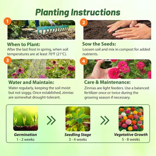 Vista 4 de Outsidepride - Zinnia Elegans, planta anual, Lilliput Flower Seed Mix, mezcla de semillas de flores para plantar, 1 libra