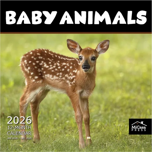 MICASA PRESS Calendario de pared 2026 Baby Animals de 12 meses, 12 x 24 pulgadas, abierto, papel grueso y resistente, para regalo, calendario para