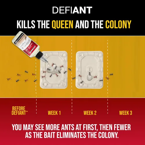 Vista 6 de Catchmaster DEFIANT - Recambio de trampas para hormigas reutilizables para interiores (paquete de 16) – Eficaz mata hormigas líquido – Cebo