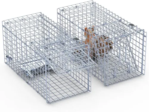 2 trampas de ardillas humanas de 18 x 8 x 10 pulgadas, jaula de trampa de caza de animales vivos de una sola puerta, jaula plegable de hierro