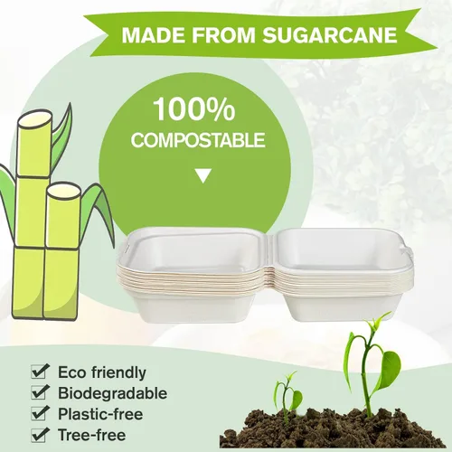 Vista 2 de ECOLipak Paquete de 200 recipientes de comida para llevar, 100% compostables, desechables, cajas de 6 x 6 pulgadas para ensalada, tartas, sándwiches