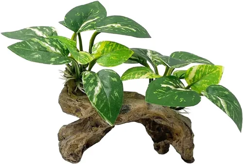 Vista 7 de Smoothedo-Pets Decoraciones de pecera, adornos de decoración de acuario, almohadilla de hoja de seda Betta, hamaca artificial de madera flotante