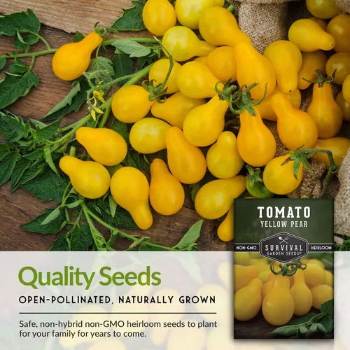 Vista 7 de Semillas de tomate de pera amarilla para plantar, semillas de jardín
