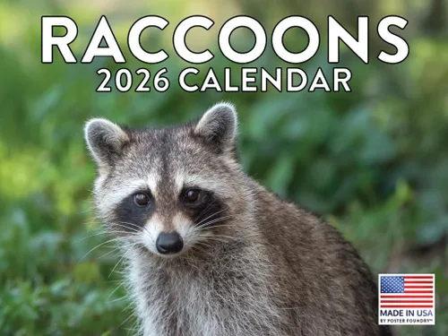 Vista 51 de Calendario de Cocodrilo 2026 Calendario de Pared Mensual 12 Meses Fabricado en Estados Unidos