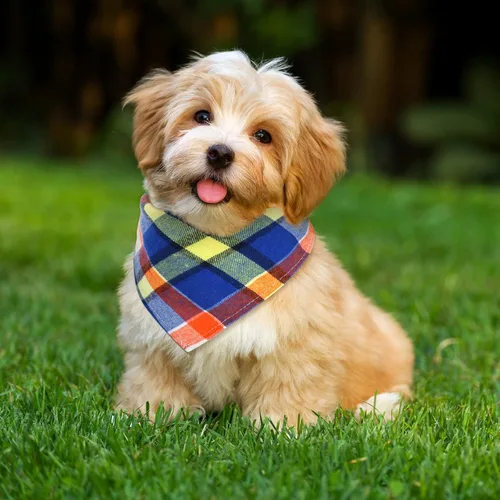 Vista 4 de Honoson 6 pañuelos triangulares para perro, bufanda para perro, bufanda con estampado a cuadros, baberos ajustables, lavables, juego de bandana