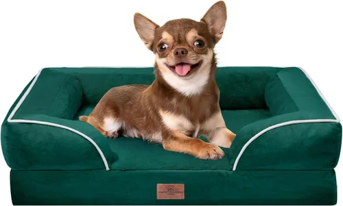 Vista 266 de Comfort Expression - Cama ortopédica para perros medianos de 30x20 pulgadas, cama impermeable de espuma de huevera para mascotas medianas