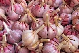 Vista 32 de Generic Semillas frescas de la flor de la rosa 100pcs para plantar rosa bebé